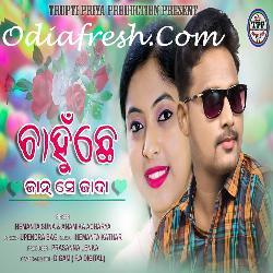 Chanhuche jan se jyada - Sambalpuri love song